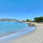 Arenal dets Ases