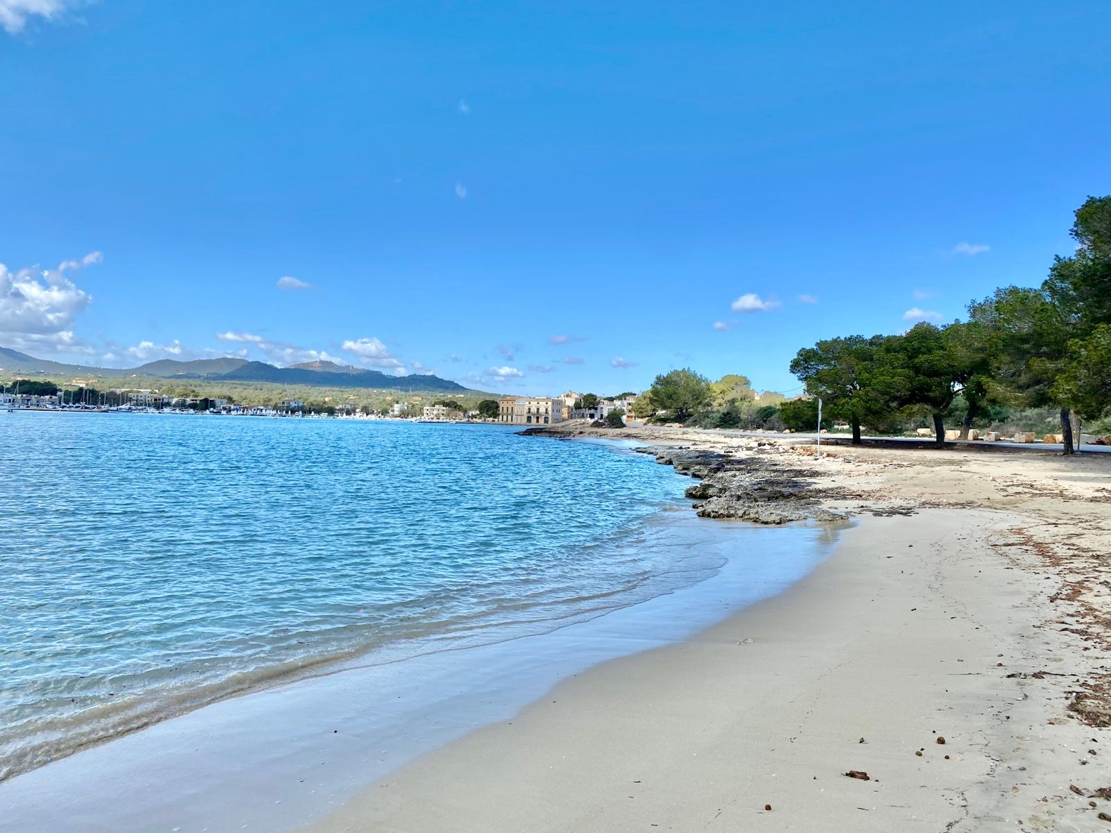 Arenal dets Ases