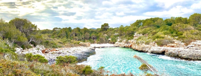 Cala Brafí