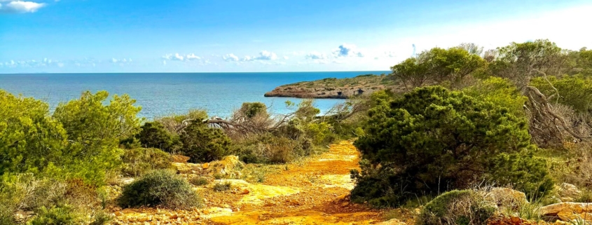 Wanderung an der Cala dels Bocs