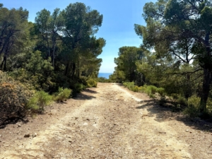 Weg zur Bucht