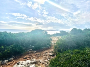 Wandern am Punta de N´Amer