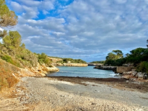 Familienbucht Cala Sa Nau