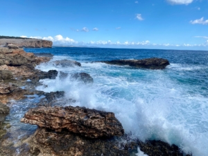 Platja de s´algar