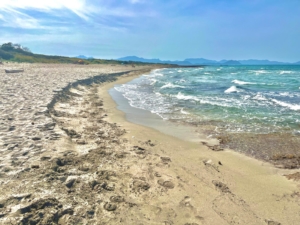 Platja de Ses Acuncences