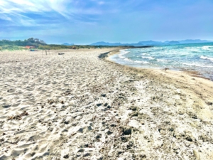 Völlige Ruhe an der Platja de Ses Acuncences