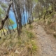Weg zur Platja des Coll Baix