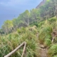 Hinter dem Refugi geht es weiter zur Platja des Coll Baix