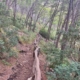 Weg zur Platja des Coll Baix