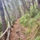 Weg zur Platja des Coll Baix