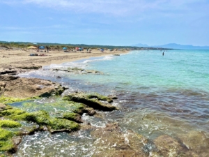Platja Sa Canova, Naturstarand auf Mallorca
