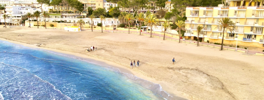 Playa Palmira, Paguera