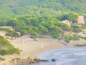 Playa Romana, Paguera
