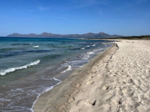 Platja de Ses Acuncuences - sehr ruhiger Strand auf Mallorca