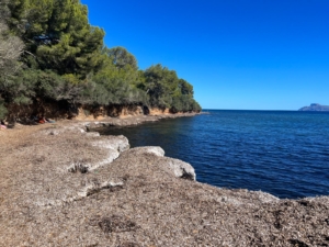 Platja des Secs